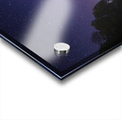 DSC 1684  Acrylic print