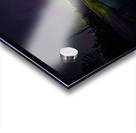 JBS 4794  Impression Acrylique