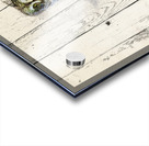 JBS 5420WC 2 Acrylic print