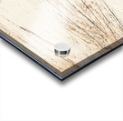 Cow Moose Abstract Acrylic print