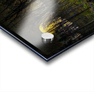 JBS 9682  Impression Acrylique