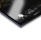 DSC 4847 Acrylic print