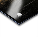 JBS 9973  Impression Acrylique