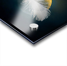 JBS 3024  Acrylic print