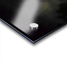 JBS 4984 1 Acrylic print