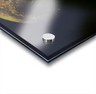 JBS 4981  Acrylic print