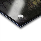 JBS 8747  Acrylic print