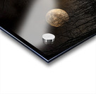 DSC 4177  Acrylic print