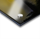 JBS 2558  Acrylic print