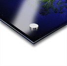 JBS 3408 Acrylic print