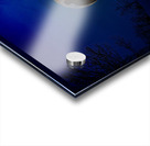 JBS 9674  Acrylic print