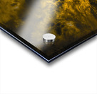 JBS 3475 Acrylic print