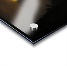 JBS 7068 sun Acrylic print