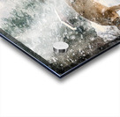 JBS 3204 2  Acrylic print