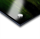 JBS 5561 Acrylic print