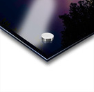 nl12 3858  Acrylic print