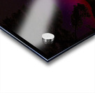 JBS 6258  Acrylic print