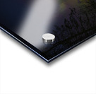 JBS 7786 2  Acrylic print