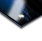 DSC 3446  Acrylic print