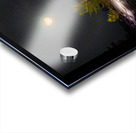 DSC 4341  Acrylic print