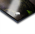 DSC 4039  Acrylic print