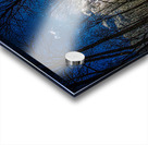 JBS 0402  Acrylic print