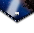 JBS 0117  Acrylic print