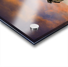 DSC 4632  Acrylic print