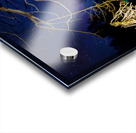 JBS 0725  Acrylic print