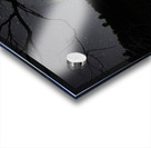 JBS 2415 comet Acrylic print