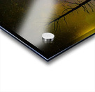 JBS 3723 Acrylic print