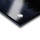 JBS 1292  Acrylic print