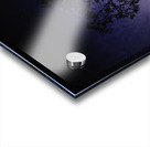 JBS 3459  Acrylic print