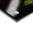 JBS 8023  Impression Acrylique