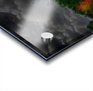 JBS 4749  Acrylic print