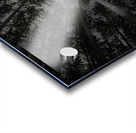 JBS 5553  Impression Acrylique