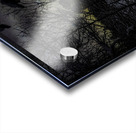 JBS 4554  Impression Acrylique