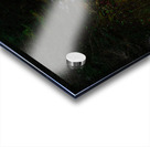 JBS 4248 Acrylic print