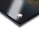 JBS 5139 1 Acrylic print