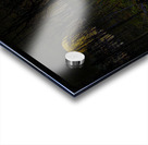 JBS 9682 Acrylic print