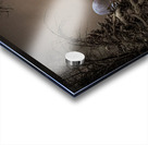 Z62 0235 Acrylic print