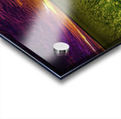 JBS 3554 Acrylic print