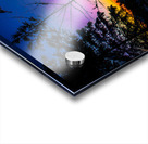 JBS 7929 Impression Acrylique