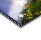 ZJS 5785 Impression Acrylique