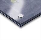 JBS 4477 Acrylic print