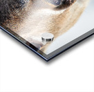 JBS 0540 Impression Acrylique