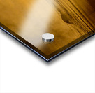 DSC 1717 Acrylic print