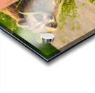 JBS 2864 Acrylic print