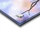 DSC 0357 Acrylic print