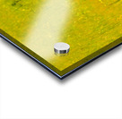 JBS 3007 Acrylic print